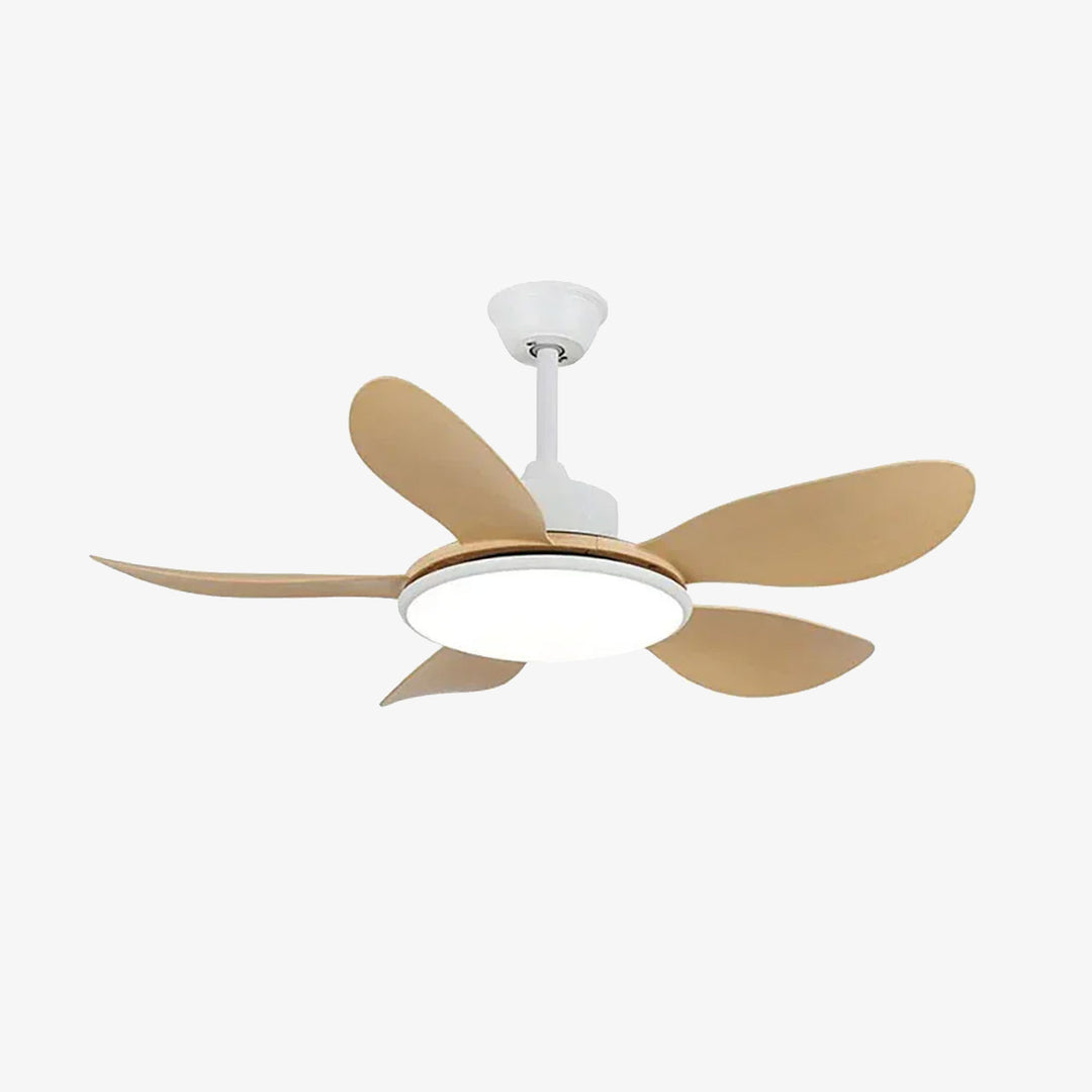 Minimalist Brinley Ceiling Fan Lights