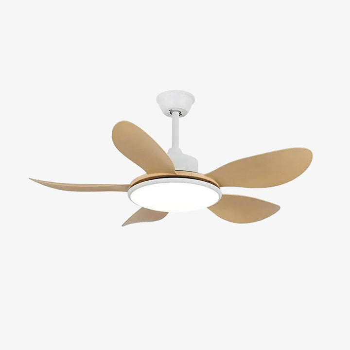 Minimalist Brinley Ceiling Fan Lights