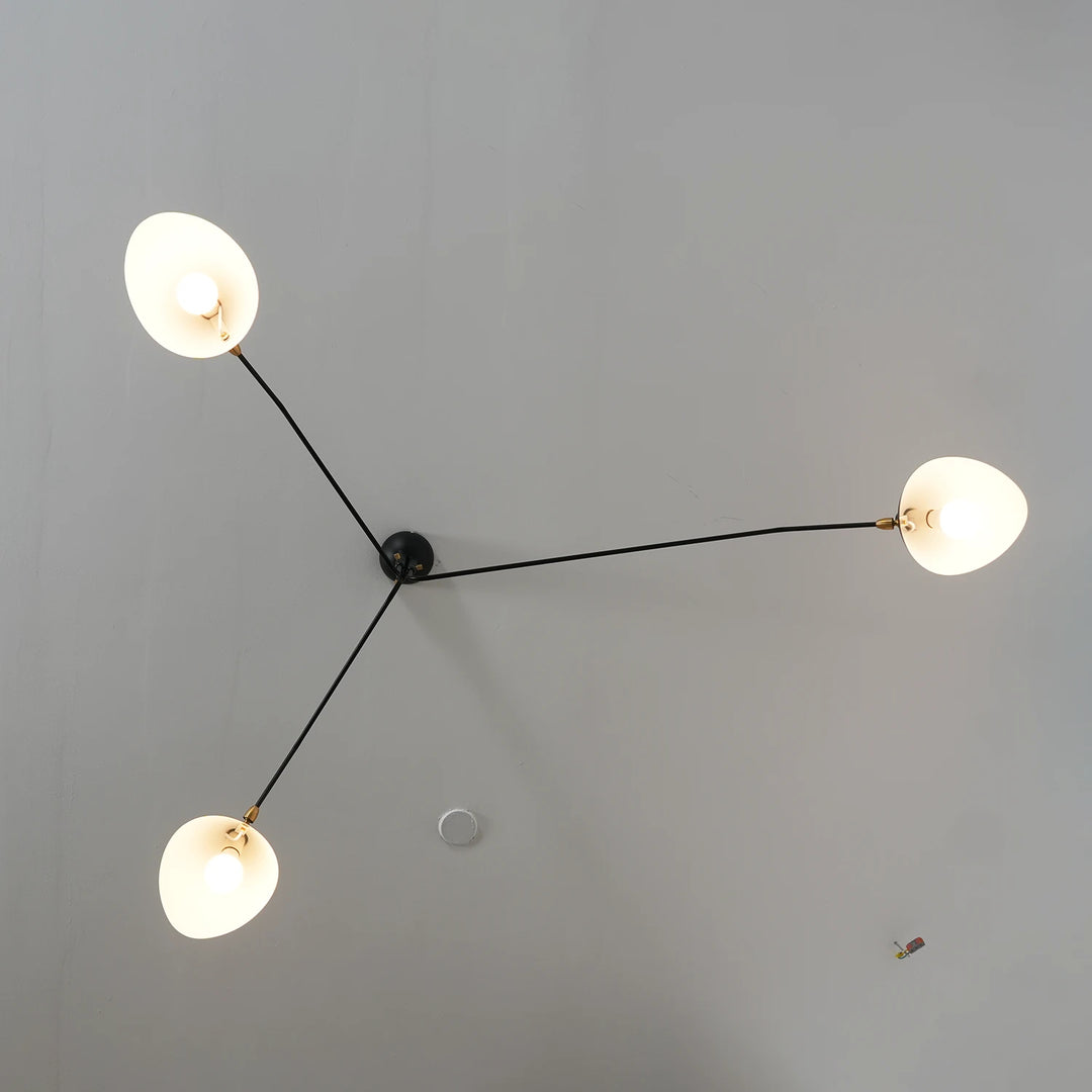 Black_3-Arm_Duckbill_Spider_Ceiling_Light_Lit_Up_Top_View_Woorglamp