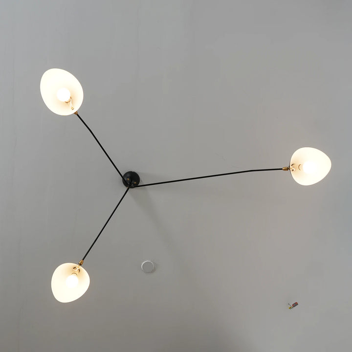 Black_3-Arm_Duckbill_Spider_Ceiling_Light_Lit_Up_Top_View_Woorglamp