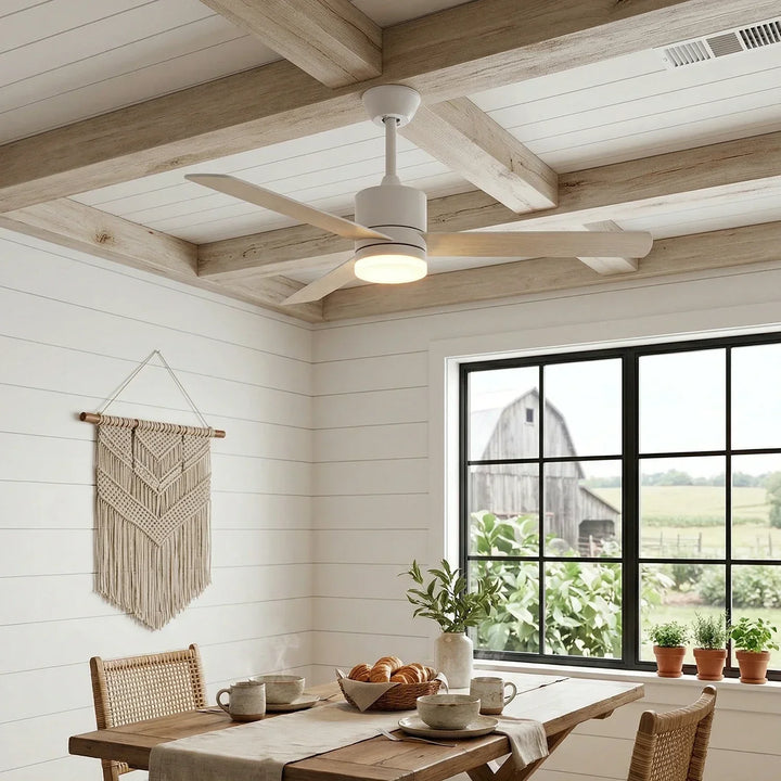 Aero Breeze Ceiling Fan Light