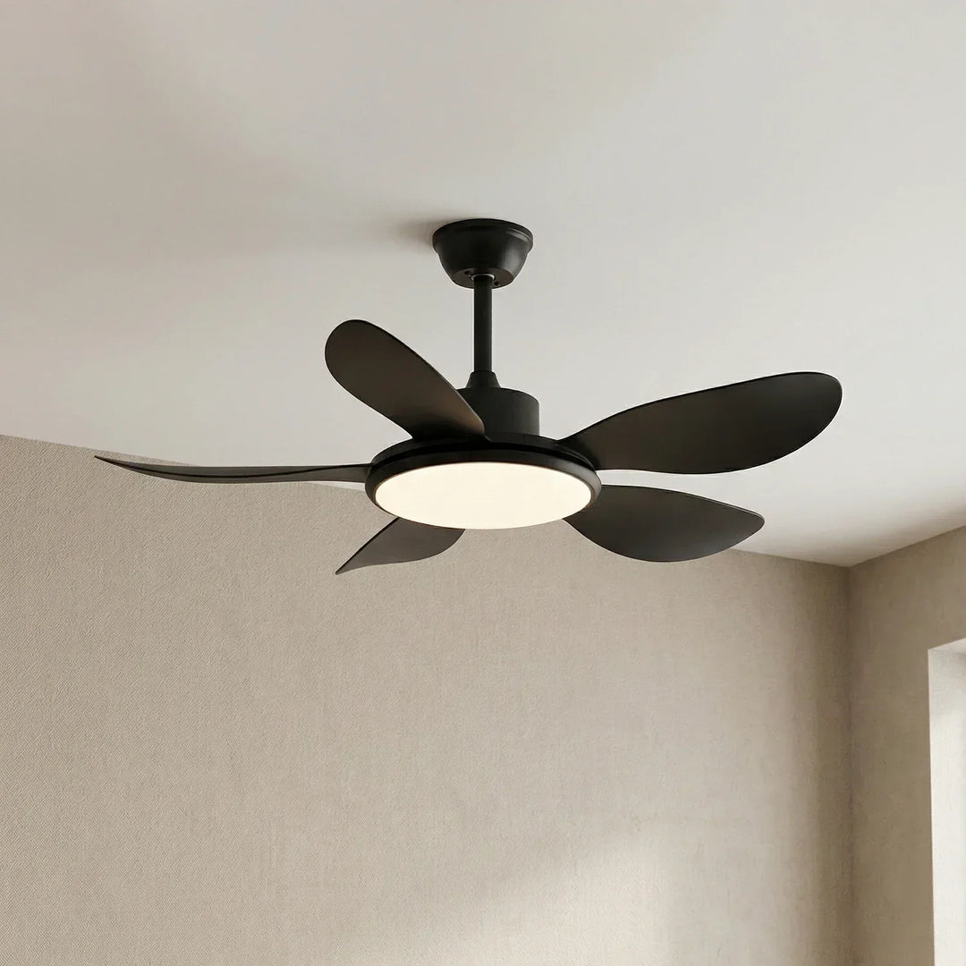 Minimalist Brinley Ceiling Fan Lights