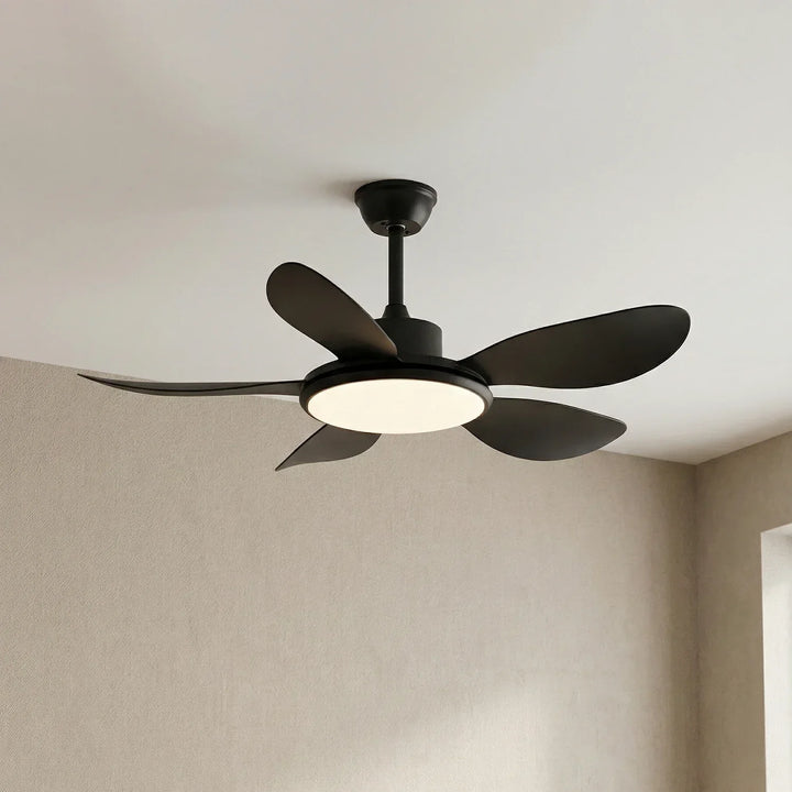 Minimalist Brinley Ceiling Fan Lights