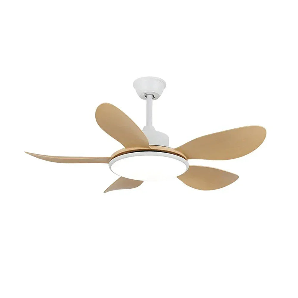 Minimalist Brinley Ceiling Fan Lights