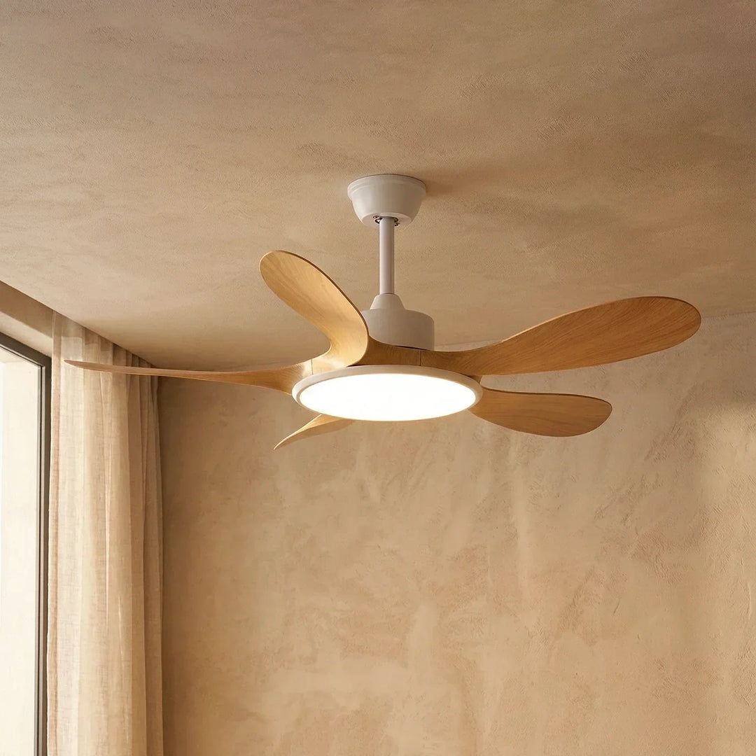 Minimalist Brinley Ceiling Fan Lights