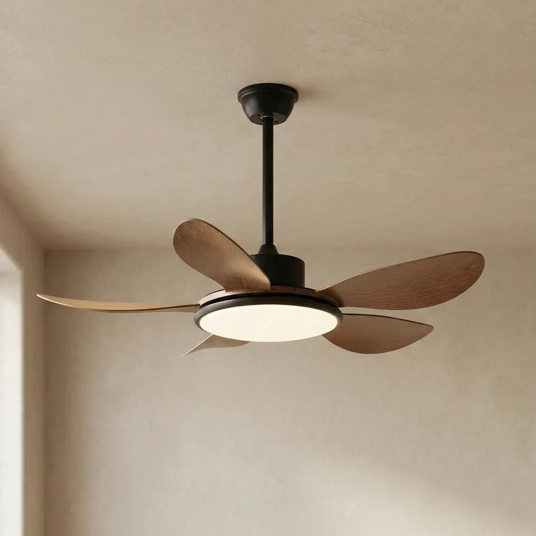 Minimalist Brinley Ceiling Fan Lights