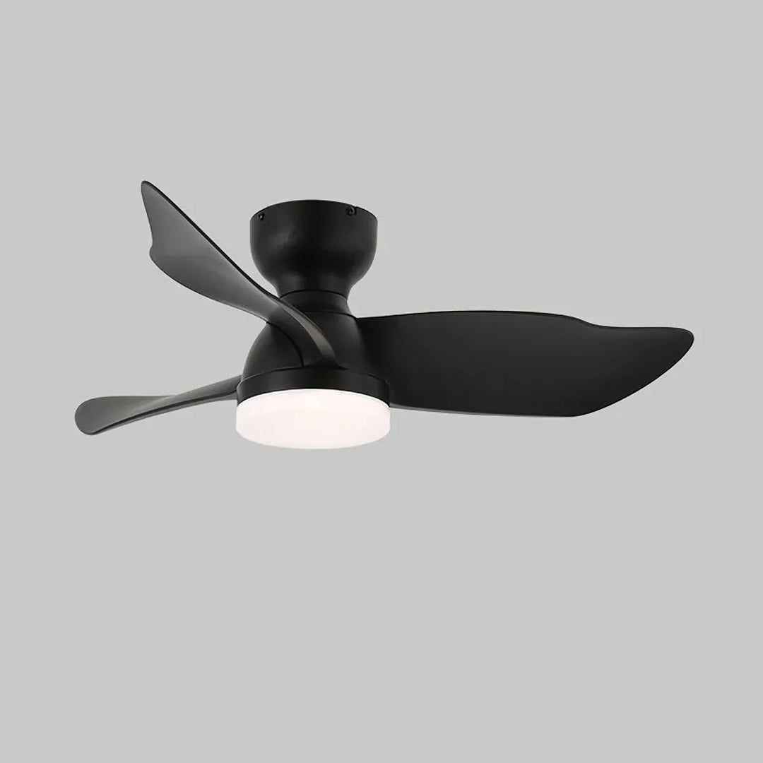Minimalist Calix 3 Blade Ceiling Fan Light