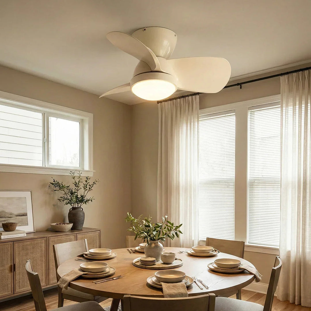 Minimalist Miroter Ceiling Fan Light