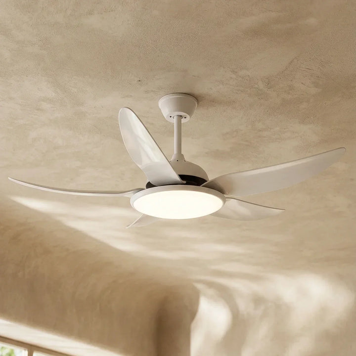 Modern Curved Blade Ceiling Fan Light