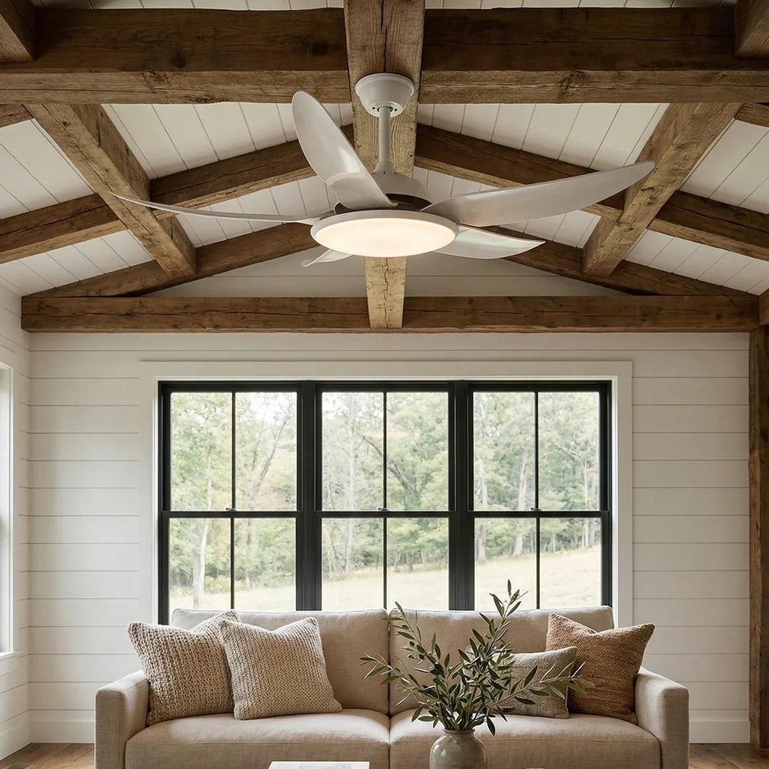 Modern Curved Blade Ceiling Fan Light