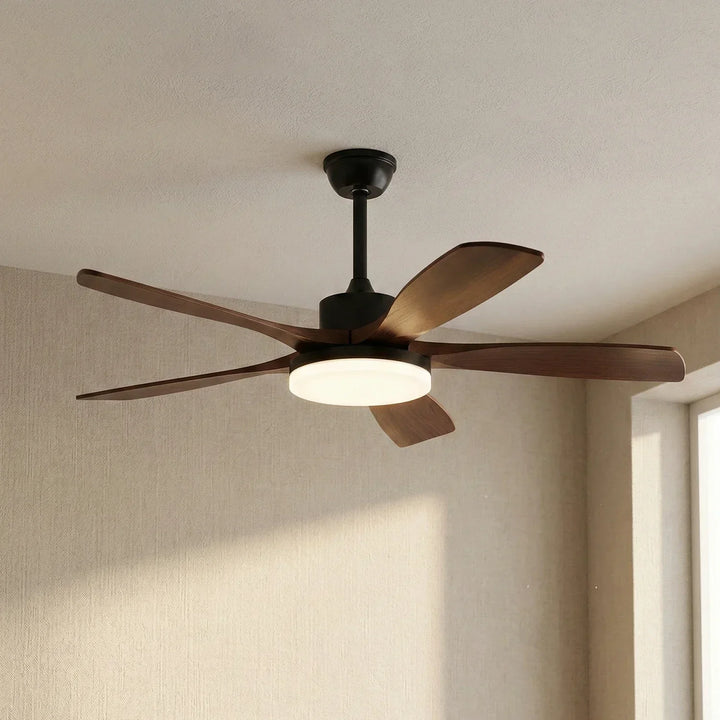 Modern Keltis Fan Blade Ceiling Fan Lights
