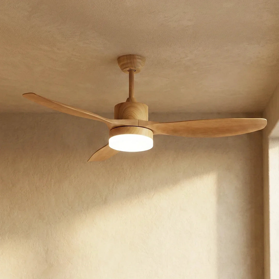 Modern Keltis Fan Blade Ceiling Fan Lights