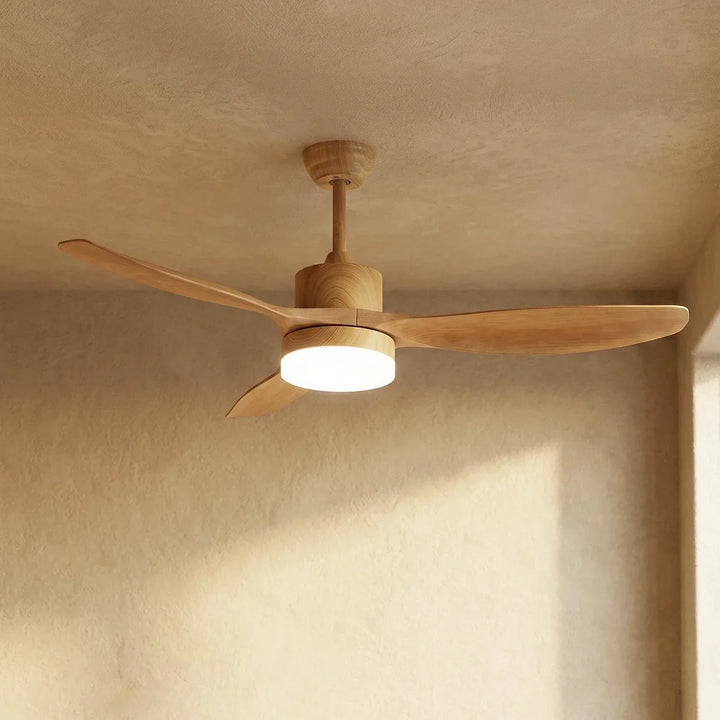 Modern Keltis Fan Blade Ceiling Fan Lights