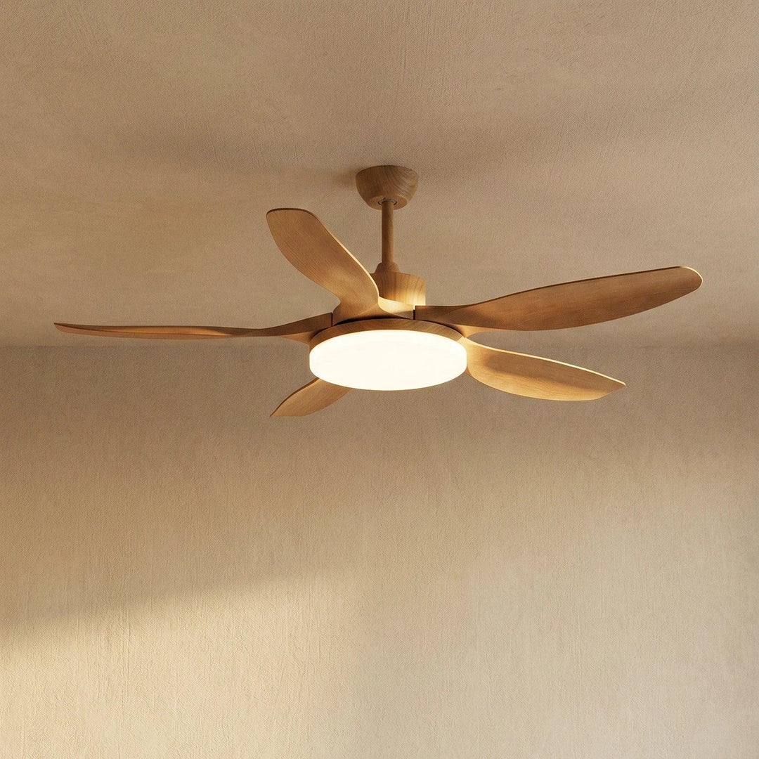 Modern Keltis Fan Blade Ceiling Fan Lights
