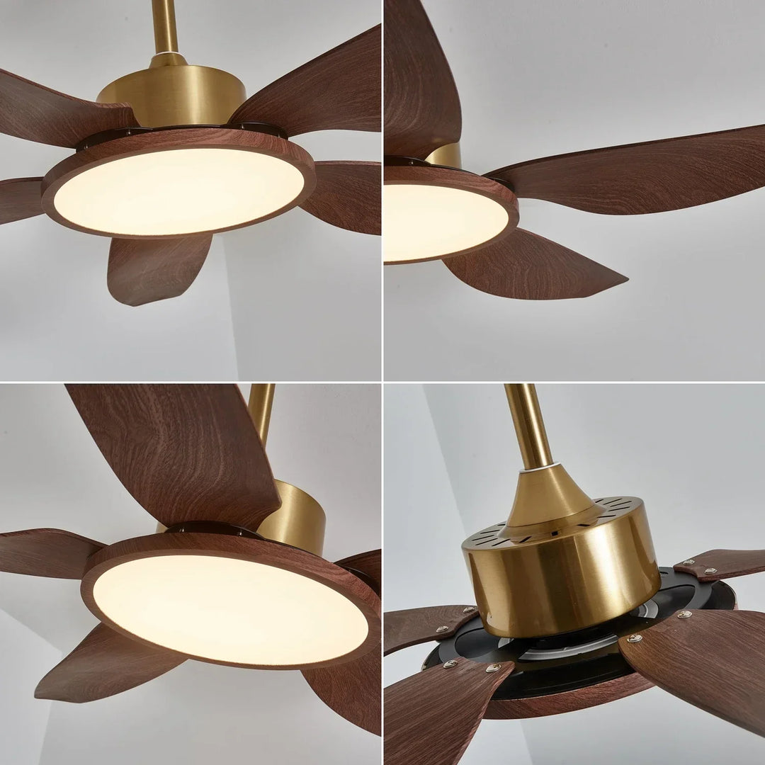 Modern Sirocco Breeze Luxury Ceiling Fan Light