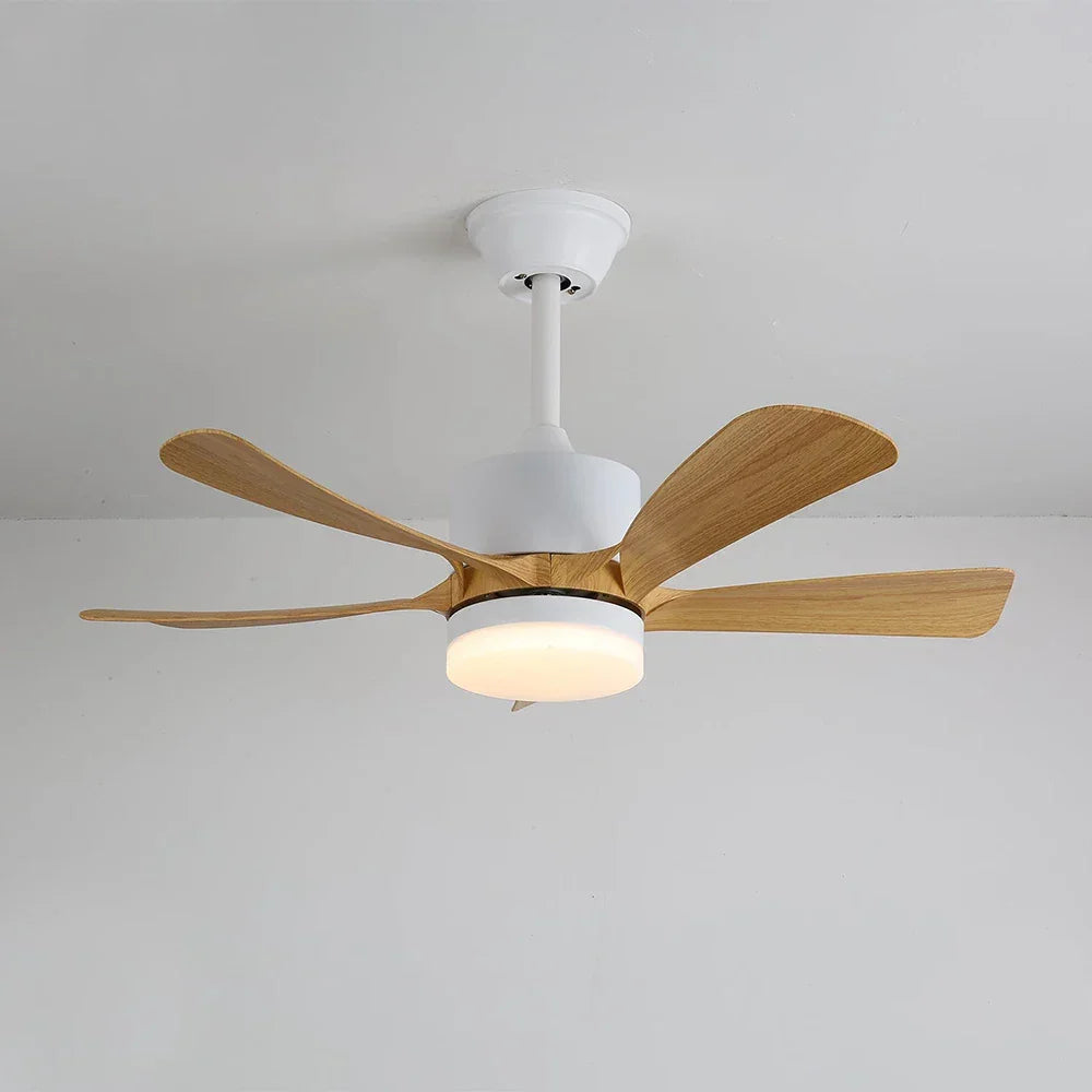 Stylish Aveline Five-Blade Ceiling Fan Light