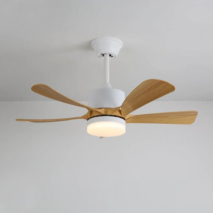 Stylish Aveline Five-Blade Ceiling Fan Light