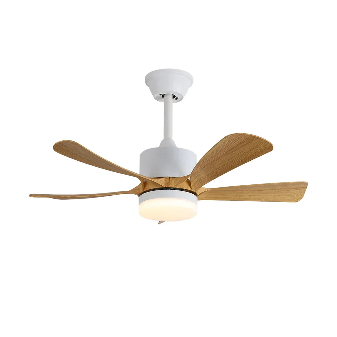 Stylish Aveline Five-Blade Ceiling Fan Light