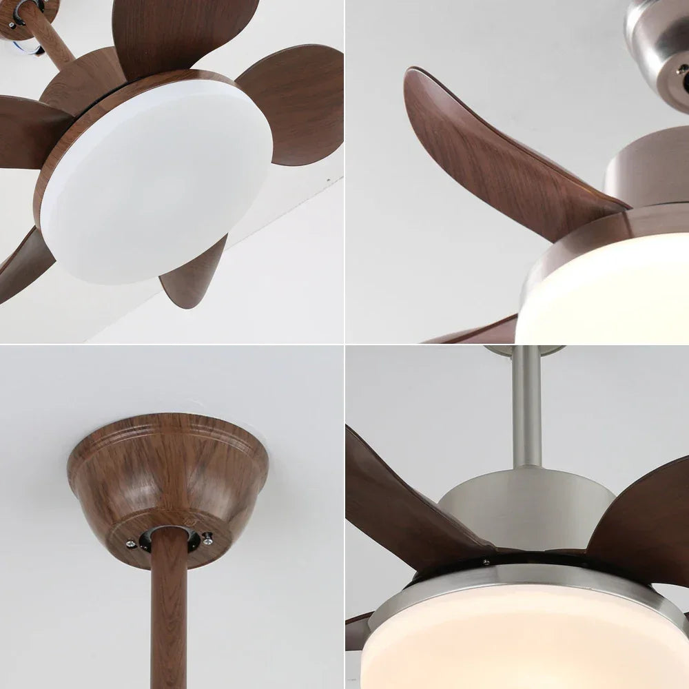 Terra Modern Silent Ceiling Fan Light